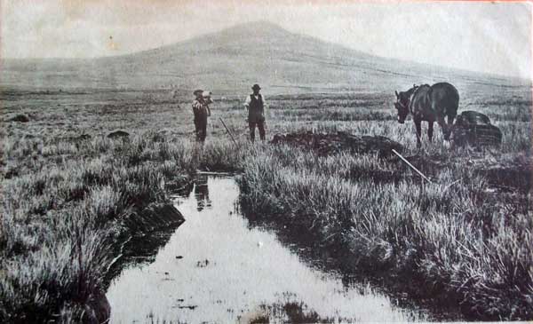 Peat cutting in the marshes below Bronn Wennili in 1905.