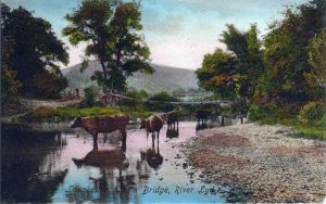 Tamar Chain Bridge c.1900.