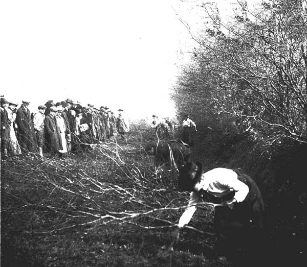 1915 Land Army demonstrations at Scarne