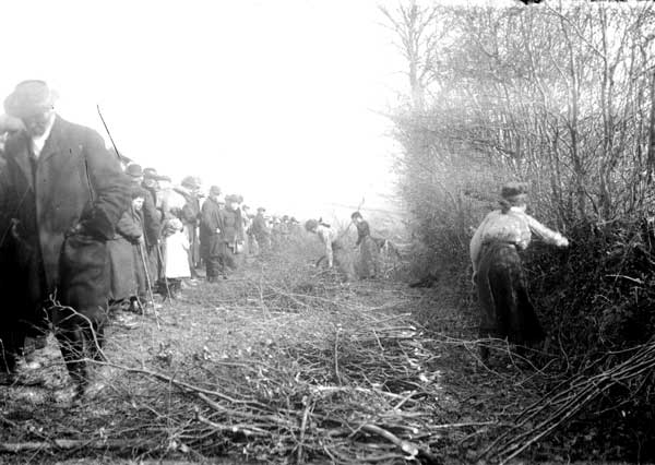 1915 Land Army demonstrations at Scarne