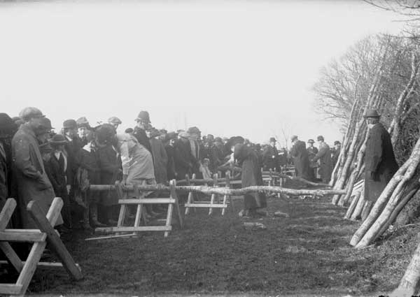 1915 Land Army demonstrations at Scarne