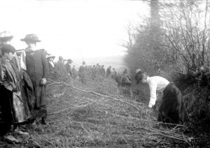 1915 Land Army demonstrations at Scarne