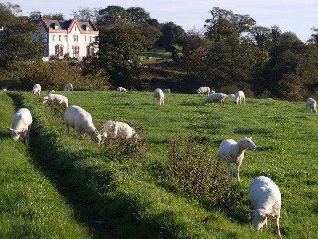 Trebursye Manor 2004.