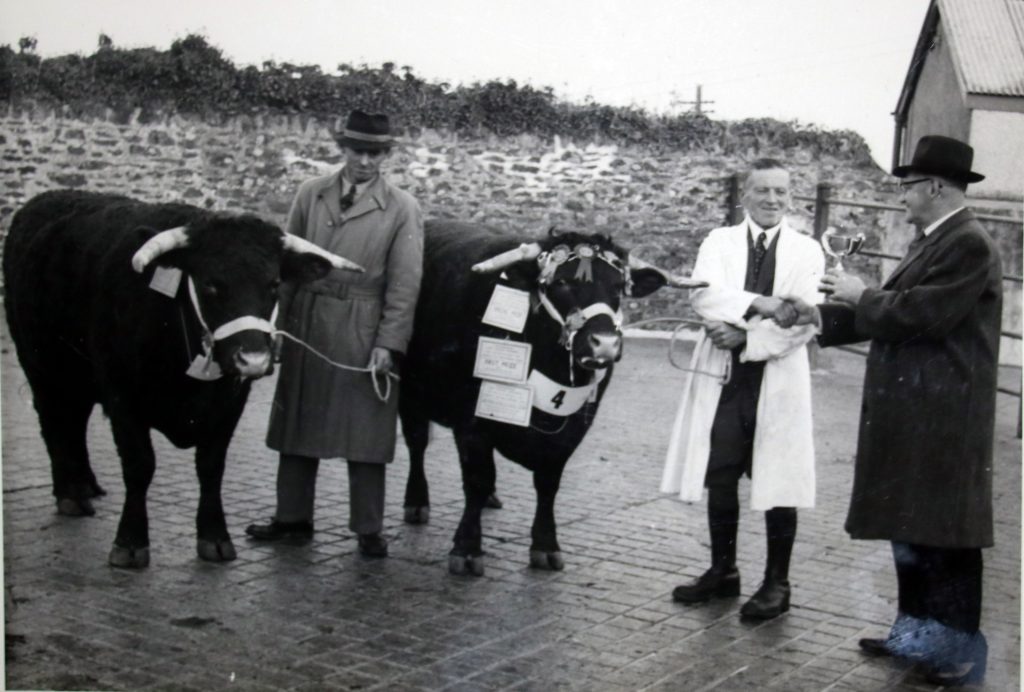 Cecil Robins presents a cup to the Launceston stock winner Dec 1955