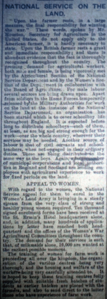 Women at Work May, 1917