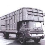 Glover and Uglow lorries lined up at what is possibly the Launceston Livestock Market washdown.
