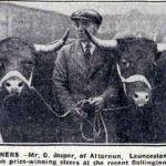 C. Jasper of Altarnun with his 1932 prize winning streers at the Callington Show.