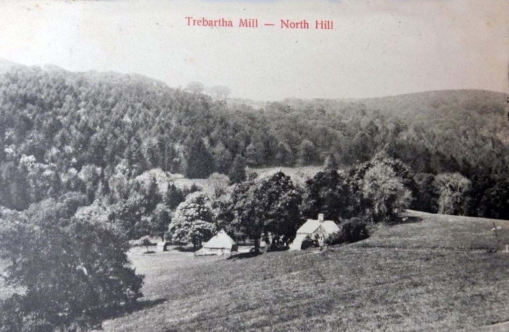 Trebartha Mill, North Hill c.1900's.