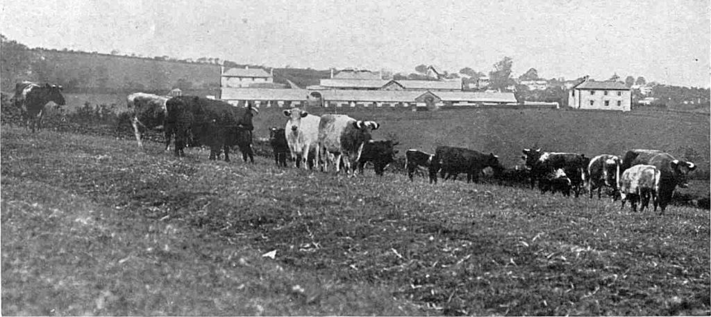 Duchy Home Farm in 1917. | Launceston Then!