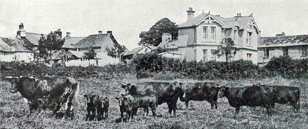 Stoke Climsland from Home Farm in 1923