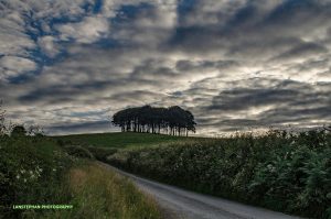 Cookworthy Knapp by Lanstephan Photography