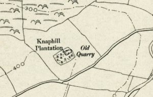 Knaphill Plantation, Lifton