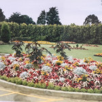 Coronation Park Flower Beds in 1990. Photo courtesy of Beryl Parish. Coronation Park Flower Beds in 1990. Photo courtesy of Beryl Parish.