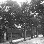 Dunheved Road in 1906.