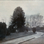 Dunheved College entrance c.1910.