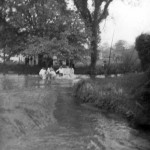 Water Fair. Photo courtesy of Tarry Barriball.