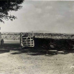 Webbs Down, Bolventor Webbs Down, Bolventor