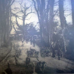 Lamerton Foxhounds at Werrington in January 1937.