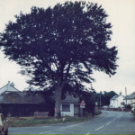 Egloskerry Post Office and Shop and Bus shelter in 1978.
