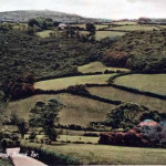 Hawkswood and Beara Tor.