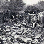 Hedge laying competition at Wooladen Farm in 1933.