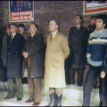 Launceston Cattle Market in the early 1980's.