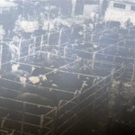 Launceston Cattle Market in 1963.