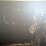 Launceston Cattle Market attestation in 1957.