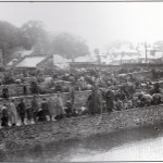 Launceston Cattle Market c.1910.