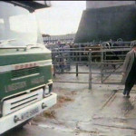 Launceston Cattle Market in the early 1980's.