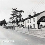 Lifton. Photo courtesy of Gary Lashbrook.