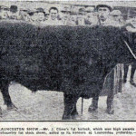 Launceston Fatstock Show prize winner Mr. Clemo in 1925.