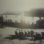 North Petherwin c.1900. Photo courtesy of Gary Lashbrook.