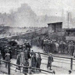 Launceston Christmas Fatstock Show in November 1934.