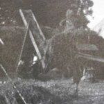 Owen Jenkin's threshing machine at work at South Petherwin in the 1940's.