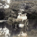 Pony and Trap in the Lifton area.