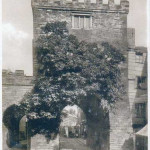 The Southgate in 1938. Launceston's Southgate in 1938