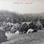 Trebartha Mill c.1900's. Trebartha Mill, North Hill c.1900's.