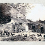 The Westlake Family of Landlake Farm c.1905