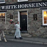 Camel outside the White Horse Inn.