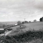 'Field adjacent to Tavistock Road, between Druccombe and Braeside'. Photo courtesy of Steve Dymond