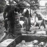 Police Officer checking on the dipping of sheep at Mr. Coopers farm at Newlands. Photo courtesy of Lawrence House Museum.
