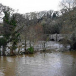 River Tamar at Polson. Photo courtesy of Julian Astles.