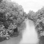 The River Tamar from Greystone Bridge in the 1930's. Photo courtesy of Chris Hicks.