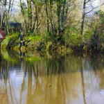 Flooded road at St. Leonards. Photo courtesy of Julian Astles.
