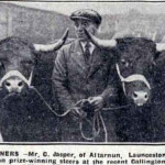 C. Jasper of Altarnun with his 1932 prize winning streers at the Callington Show. C. Jasper of Altarnun with his 1932 prize winning streers at the Callington Show.