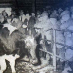 Five Lanes Market in 1961. Five Lanes Market in 1961.