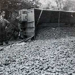 Accident when a artic carrying potatoes overturned on the A30 at Landerslake, Lewannick. Accident when a artic carrying potatoes overturned on the A30 at Landerslake, Lewannick.