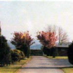 Trevadlock Holiday Park in 1985. Trevadlock Holiday Park in 1985.