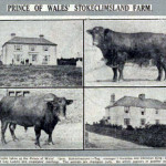 Duchy Farm, Stoke Climsland 1921 Duchy Farm, Stoke Climsland 1921